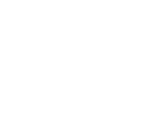 ANSER Edition